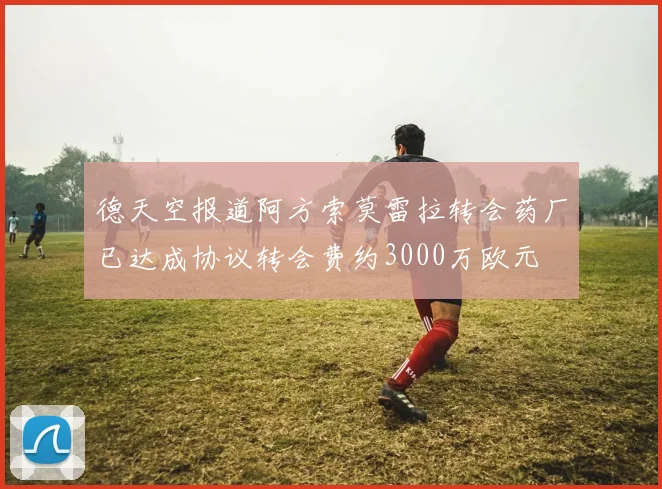 德天空报道阿方索莫雷拉转会药厂已达成协议转会费约3000万欧元
